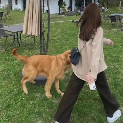 重阳奇妙游2022